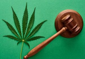 Cannabis Attorney in Colombia